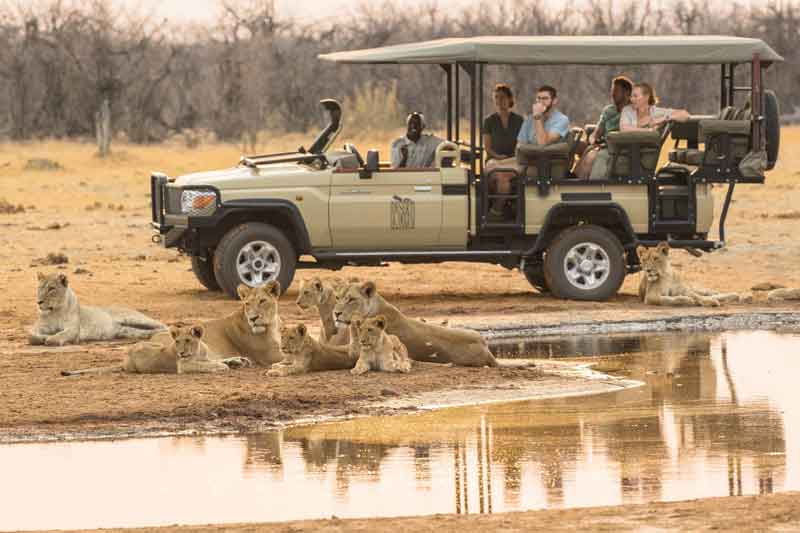 Savuti Safari Lodge - Botswana